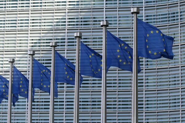 The European Commission's buildings with flags in front